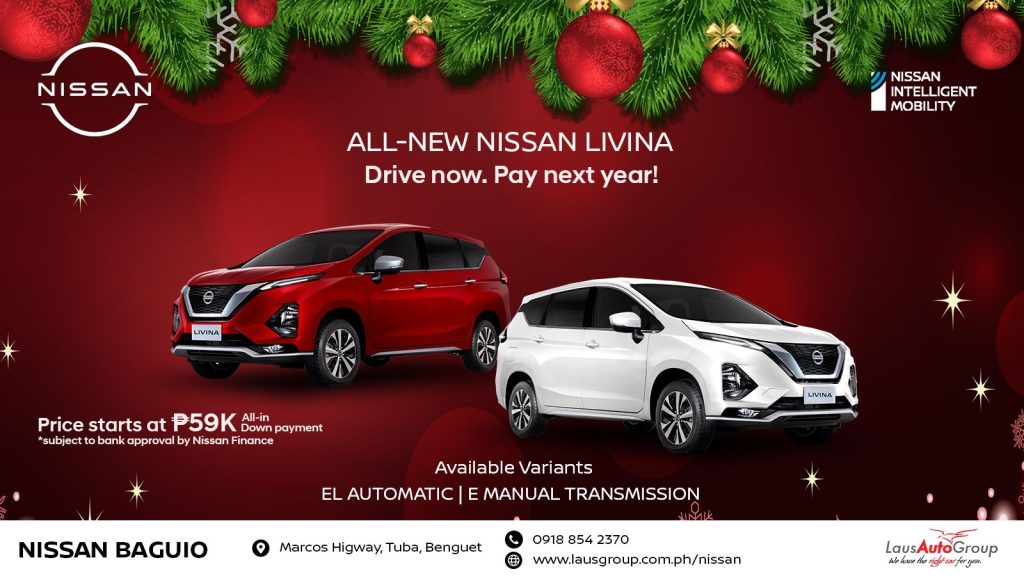 Drive now, Pay Next Year!