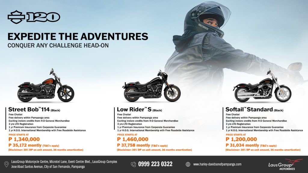 Seize the road ahead with Harley-Davidson!
